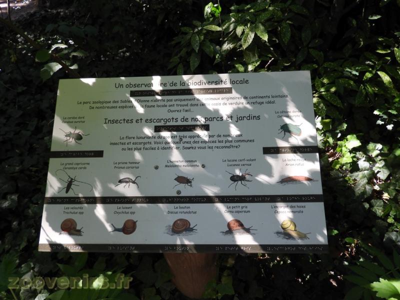 Panneau pédagogique