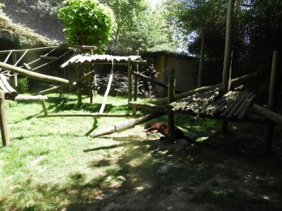 Panthère noire - 2016