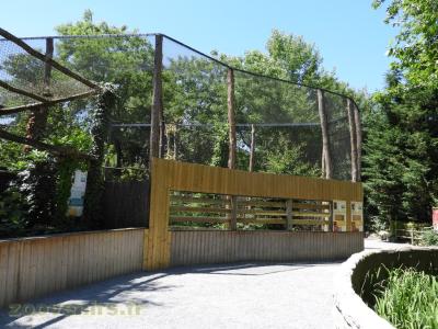 Grue à cou noir - Pirolle à bec rouge - 2016