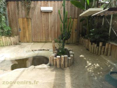 Tortue géante - 2016