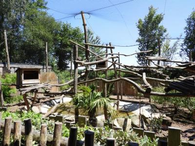 Binturong - Loutre naine - 2016