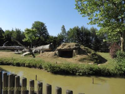 Gorille - Colobe guéréza - 2016