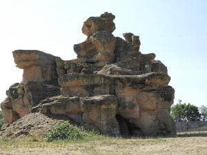Ours baribal