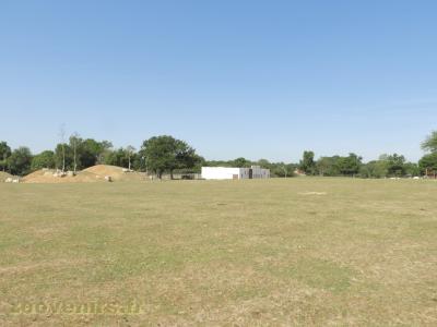 Prairie asiatique - 2017