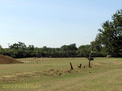 Prairie asiatique - 2017