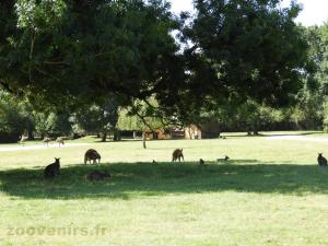 Prairie australienne