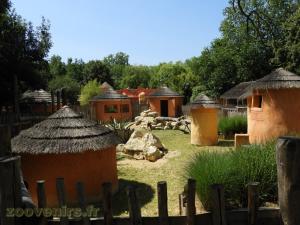 Suricate - Cigogne d'Abdim