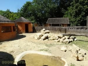 Suricate - Cigogne dAbdim