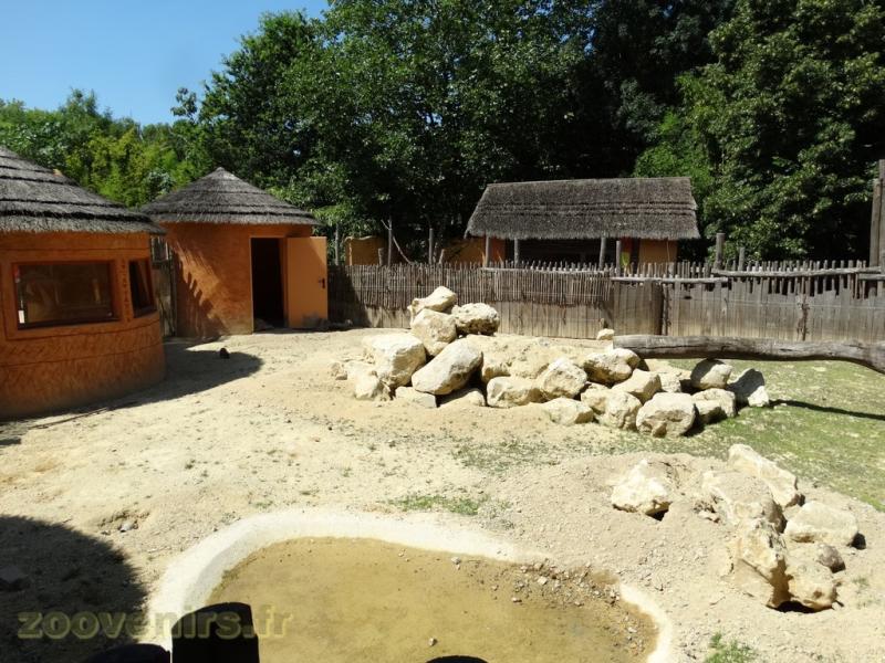Suricate - Cigogne dAbdim
