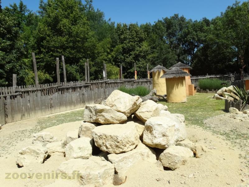 Suricate - Cigogne d'Abdim
