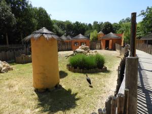 Suricate - Cigogne d'Abdim