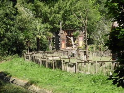 Lémur catta - Maki vari noir et blanc - 2017