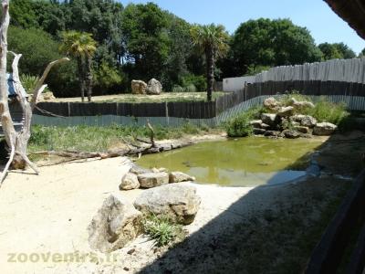 Tortue de Floride - 2017