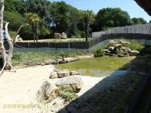 Tortue de Floride