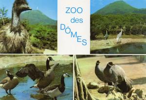 63 Zoo des Dômes