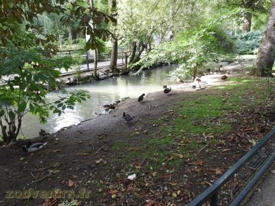 Rivière des canards