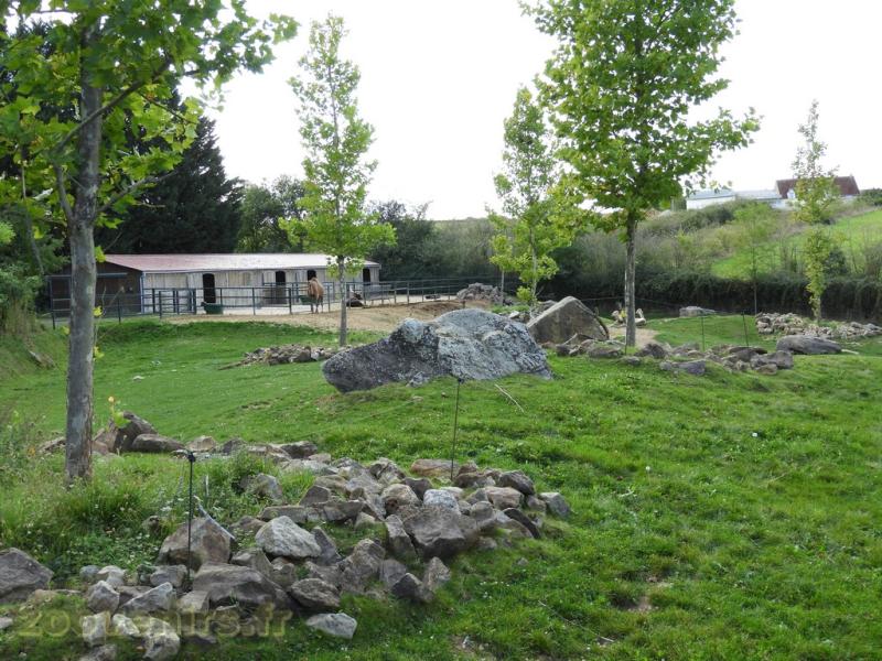 Dromadaire