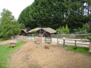 Mini-ferme