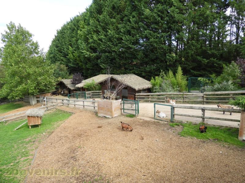 Mini-ferme