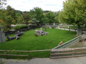 Mini-ferme