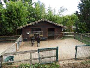 Mini-ferme