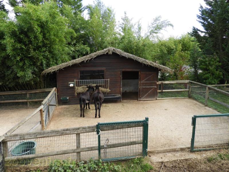 Mini-ferme