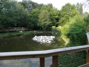 Pélican blanc