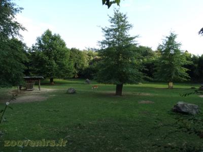 Oryx beisa - Ânes de somalie - Cobe de Lechwe