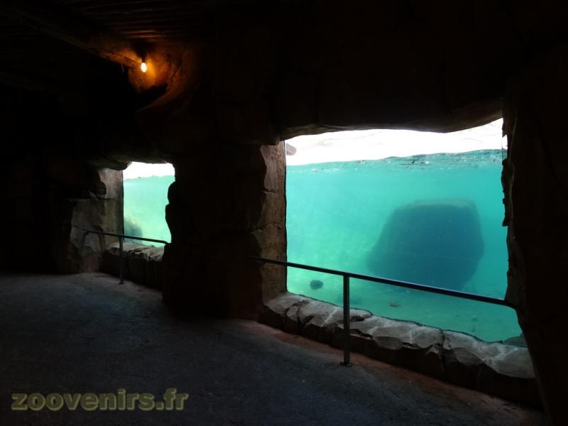 Réserve des hippopotames