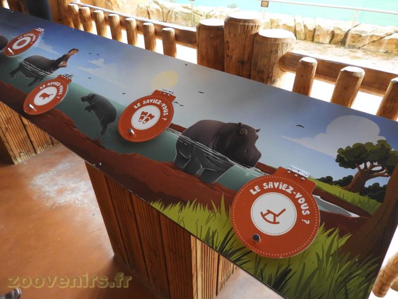 Réserve des hippopotames