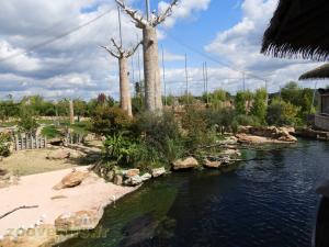 Réserve des hippopotames