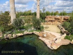 Réserve des hippopotames