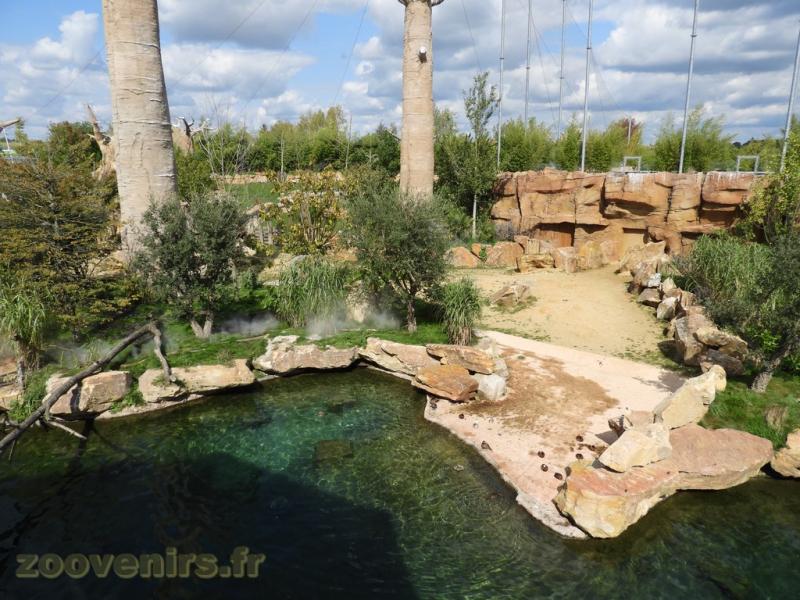 Réserve des hippopotames