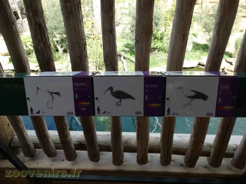 Réserve des hippopotames