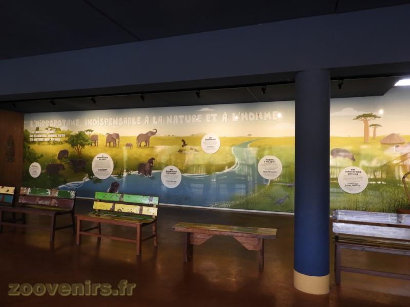Réserve des hippopotames