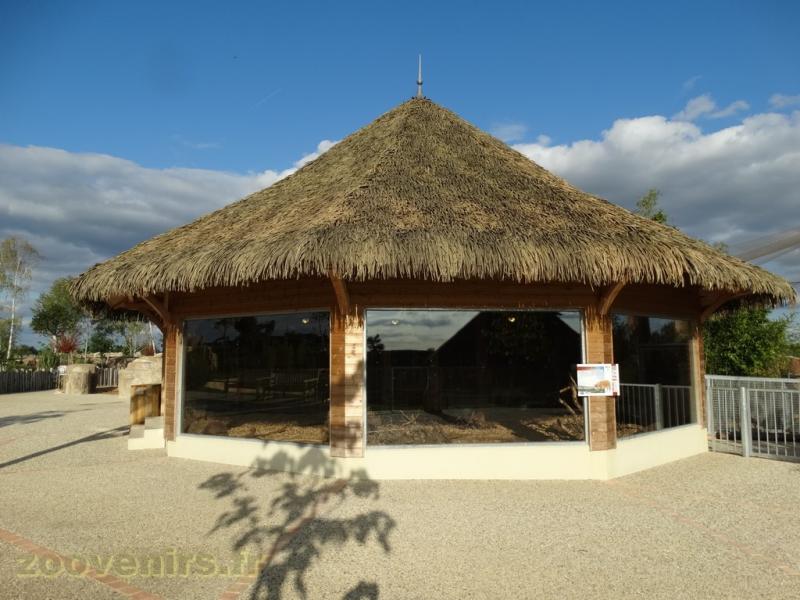Potamochère