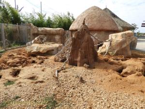 Suricate