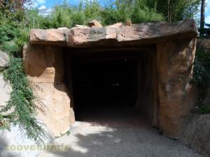 La Terre des Lions