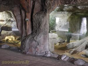La Terre des Lions