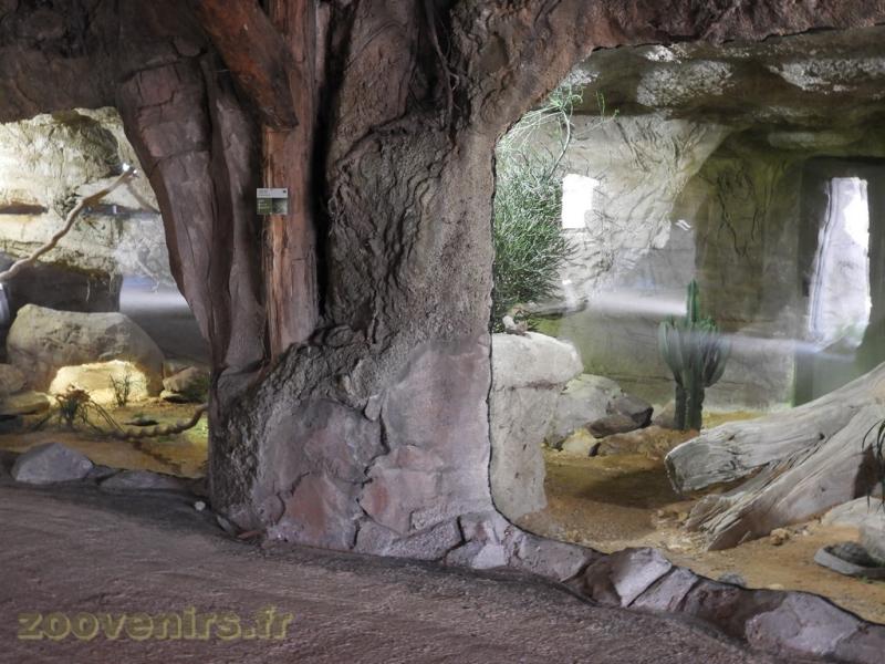 La Terre des Lions