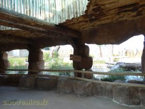 La Terre des Lions