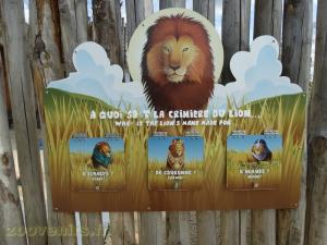 La Terre des Lions
