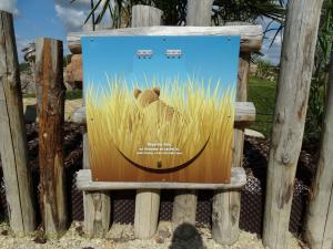 La Terre des Lions