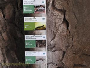 La Terre des Lions - Vivariums