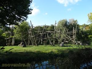 Chimpanzé