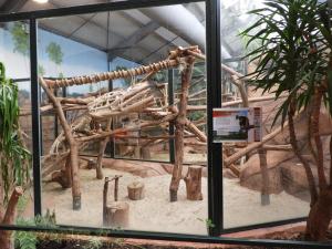 Dendrolague de Goodfellow