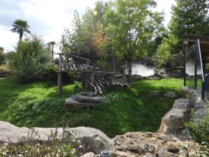 Grand panda