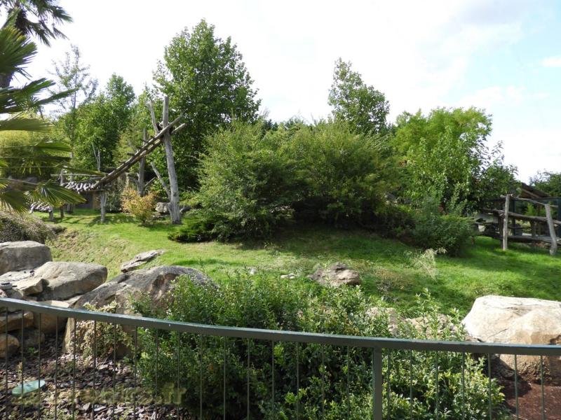 Grand panda