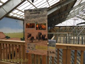 Maison des éléphants