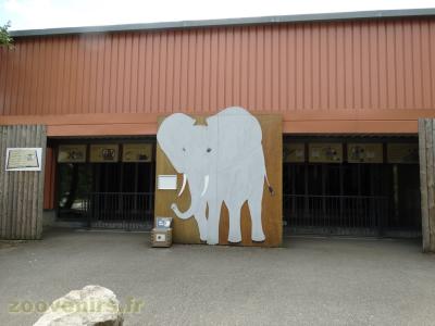 Eléphant d'Afrique - 2018